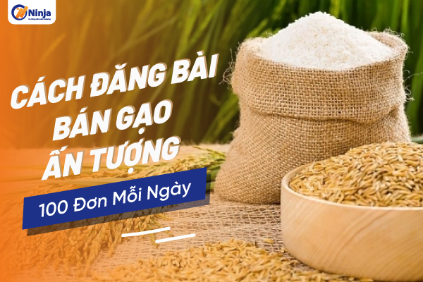 cách đăng bài bán gạo